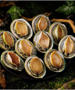 Sản phẩm test loại 2 (1) (1)