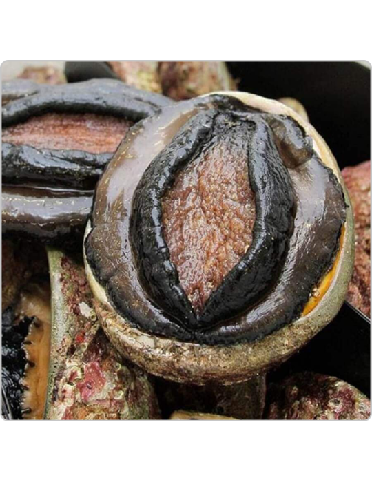 Sản phẩm test loại 2 (1)