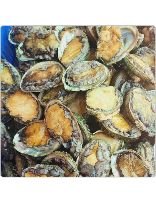 Sản phẩm test loại 2 (1) (1) (1)